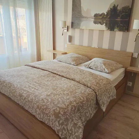 Hotel Hotel-restaurant Le Commerce Nogaro