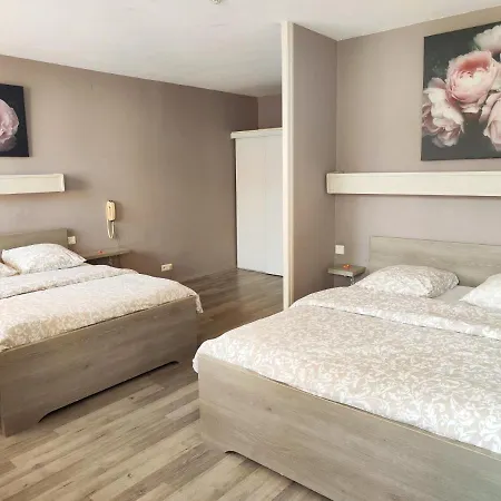 Hotel Hôtel-restaurant Le Commerce